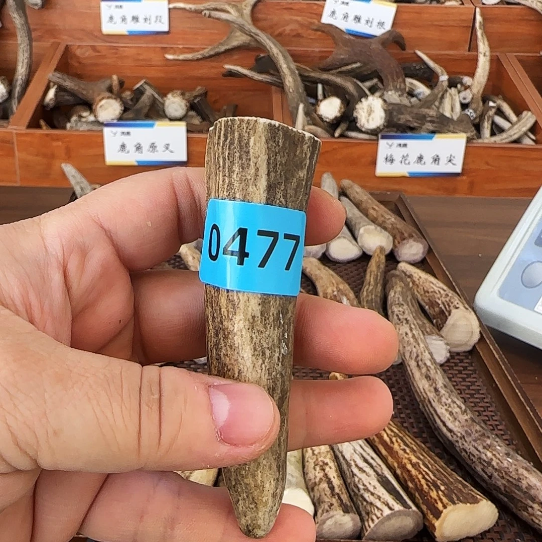 手串/手链鹿骨角尖0477