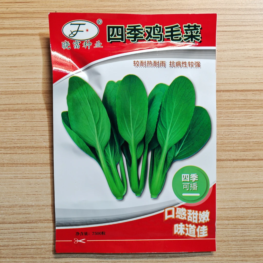 四季鸡毛菜种子 青菜种子 简单易种 口感甜嫩 好吃 原包装7500粒