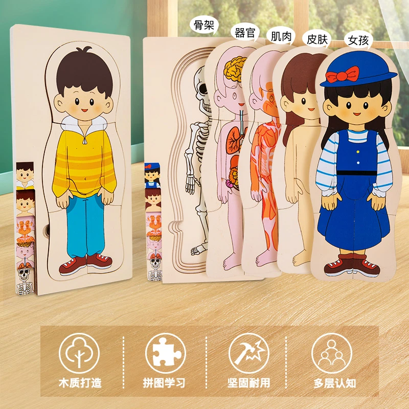 儿童益智早教认知人体拼图板多层男孩女孩器官认知幼儿园人体结构
