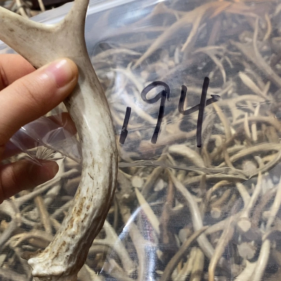 心***骛非金属鹿角鹿角鹿j