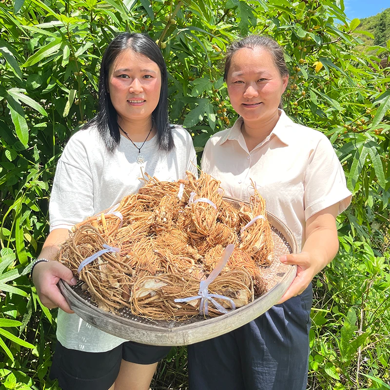 龙村五指毛桃正宗五华特产生晒无硫可煲汤可煮水