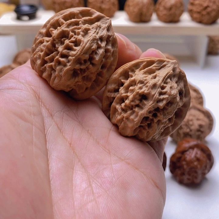野牛全品37/36/41