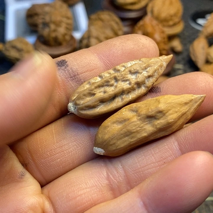 吊坠桃核娜姐真的158