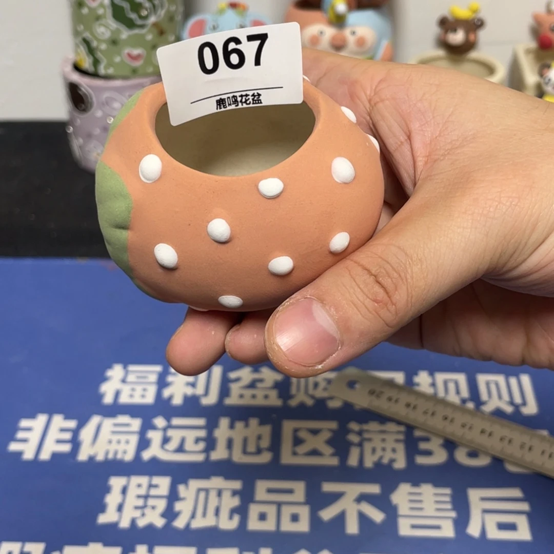 特价微瑕不退不换67