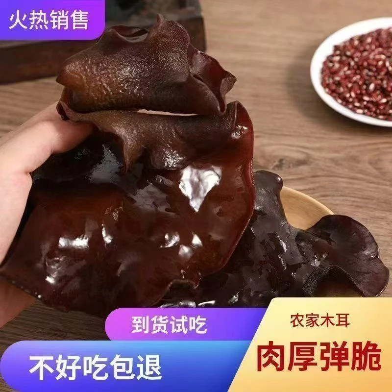 【鲜货黑木耳低温冷链发货】毛木耳产地现摘现发煲汤炒菜煮火锅
