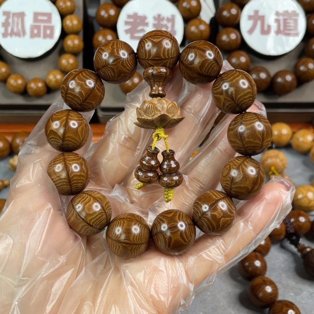 六道木枯树， 毕业1.8