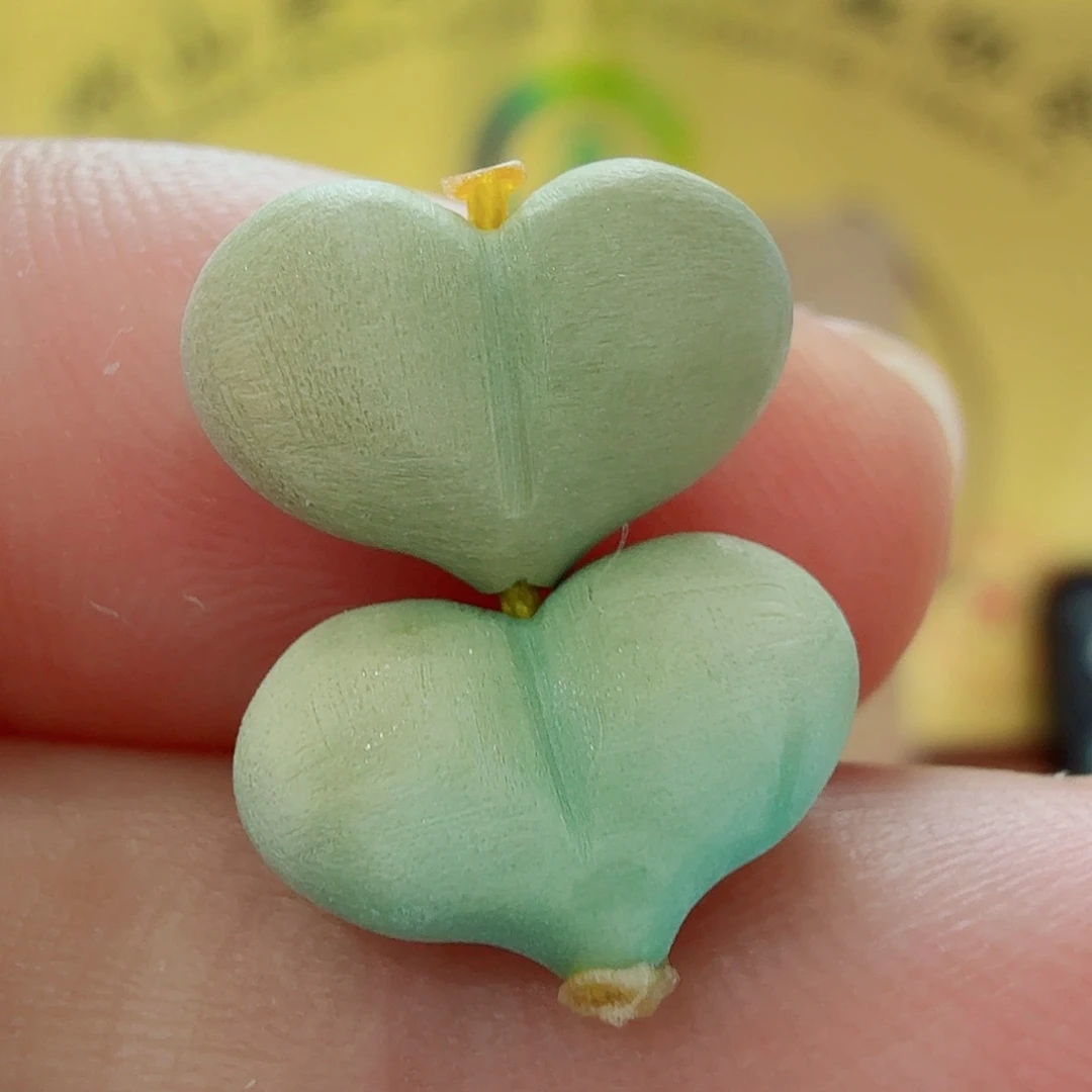 未镶嵌绿松石配饰