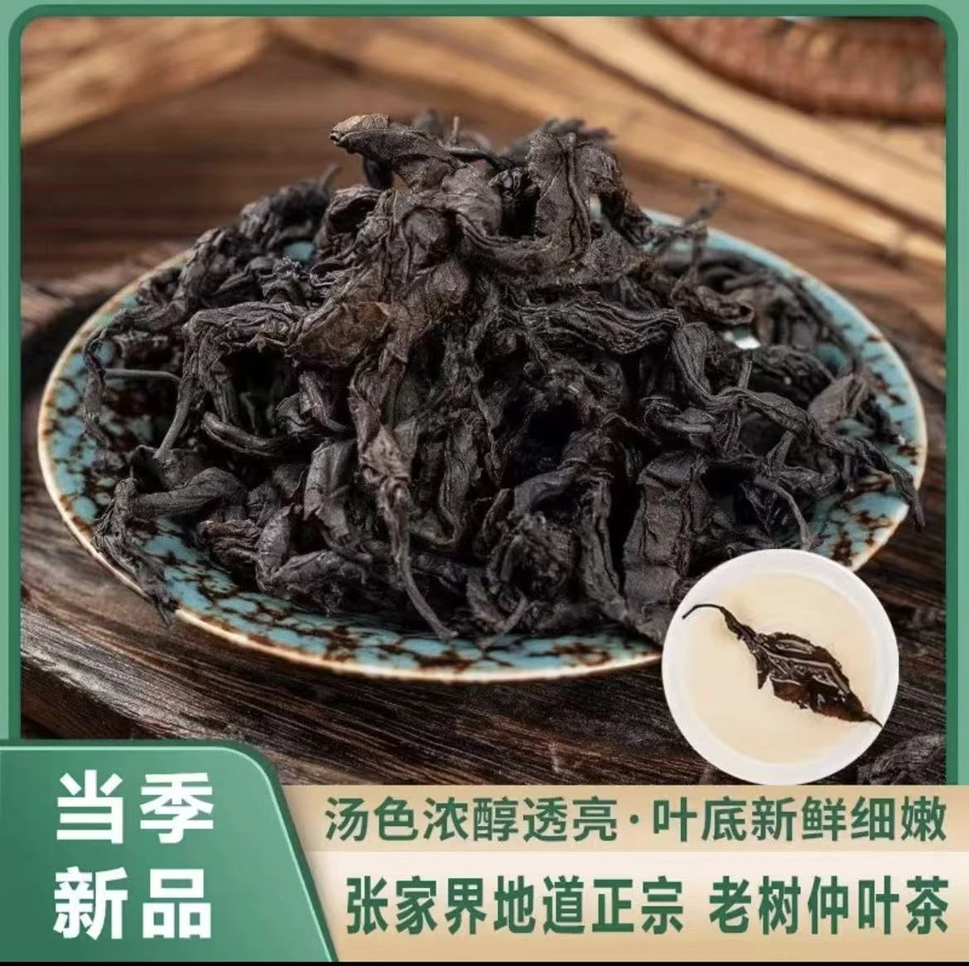 【杜仲叶 杜仲茶】深山采摘老树嫩叶杜仲叶茶古法抄之精选泡水泡茶