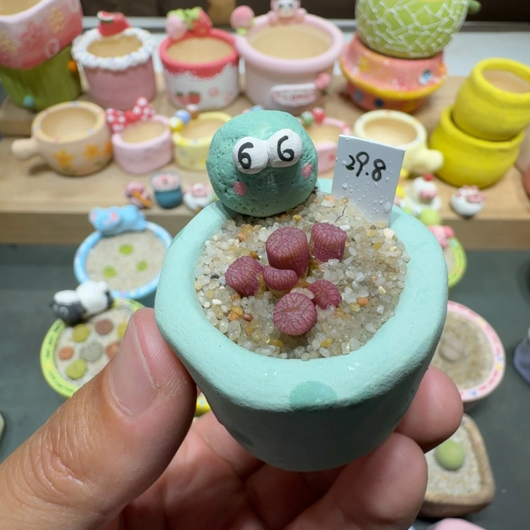 蘑菇225蜜枣铜壶