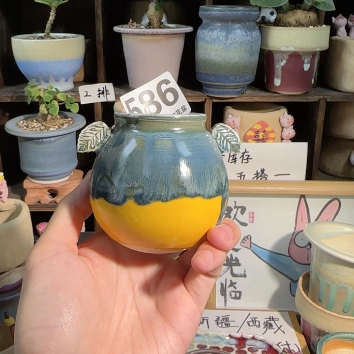 586 口4 默认微瑕 五搭一