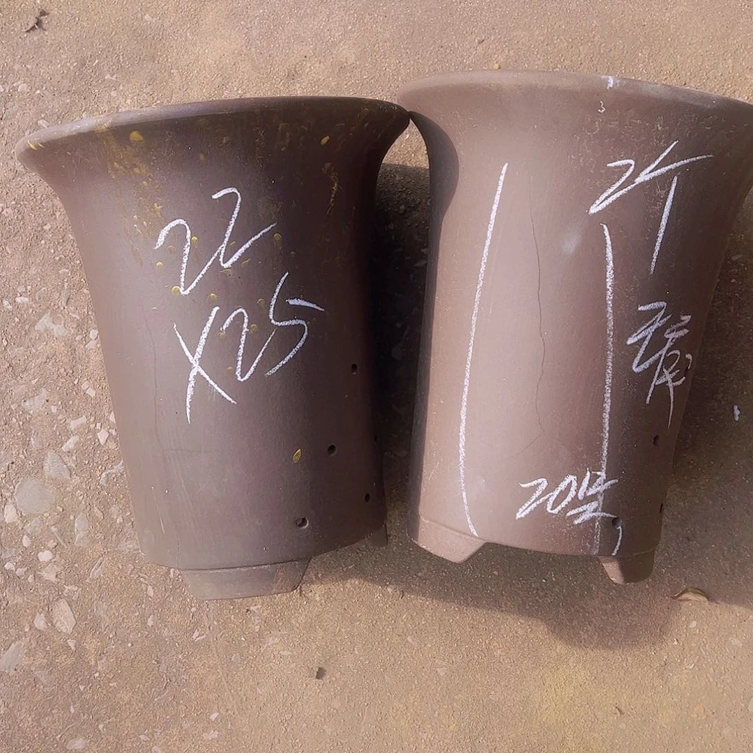 紫砂20……………………………………