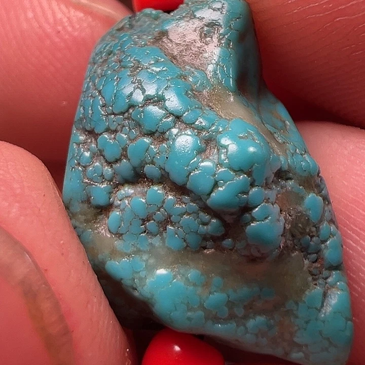 我们都是在这里看到的哈