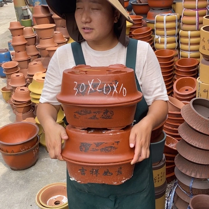 紫砂花盆紫砂花盆盆栽花卉