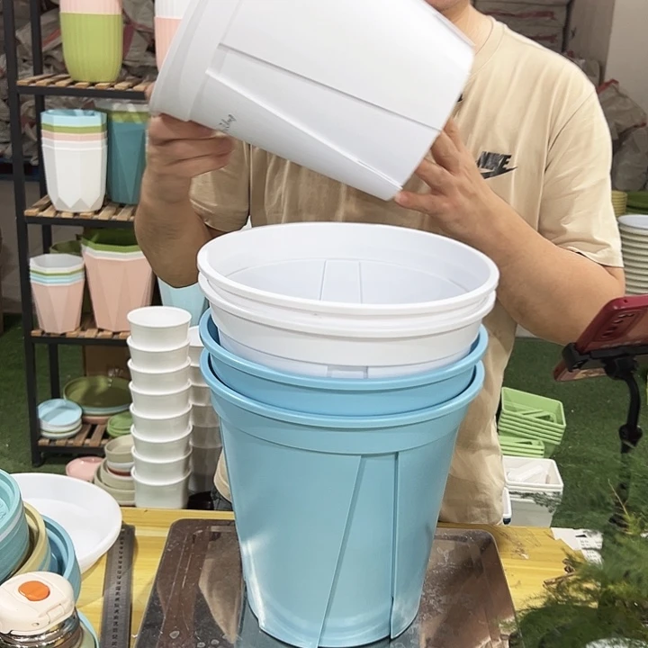 青山口24高24混色5个无托