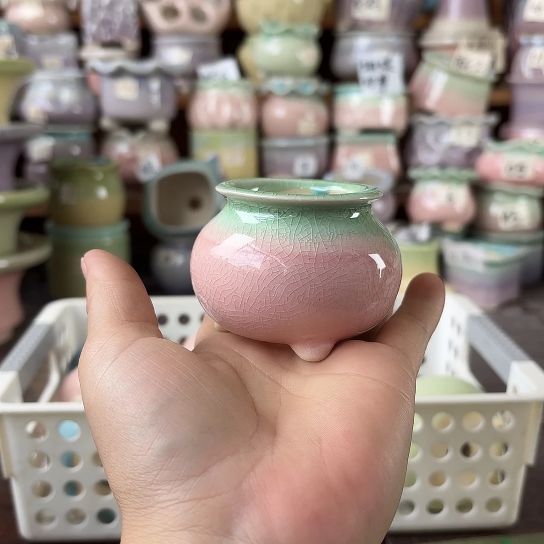 枫***谜量货/4口高深浅搭配发30个