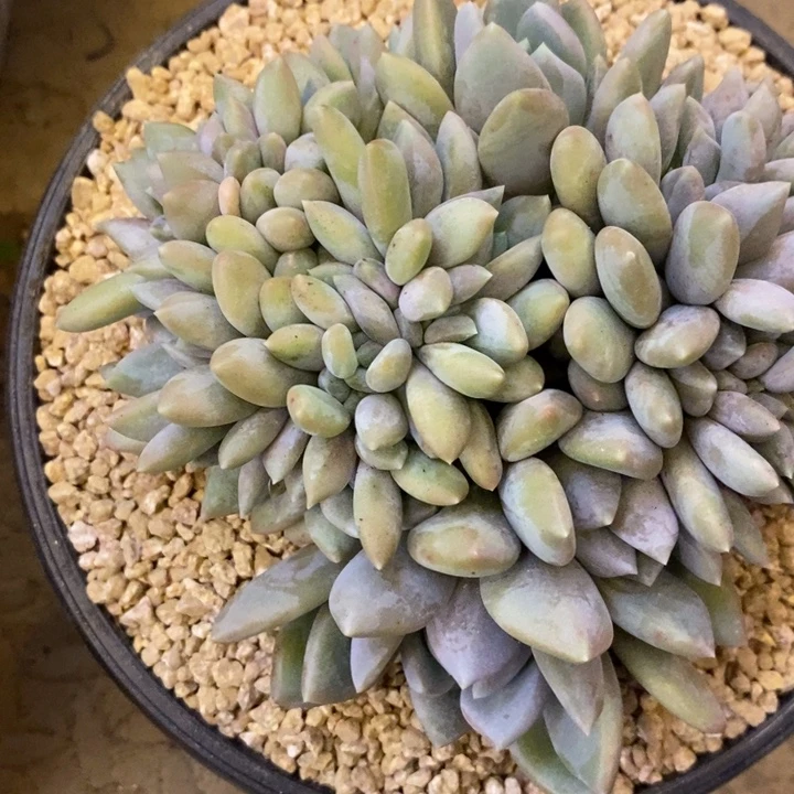 纽***扣888888888888888888