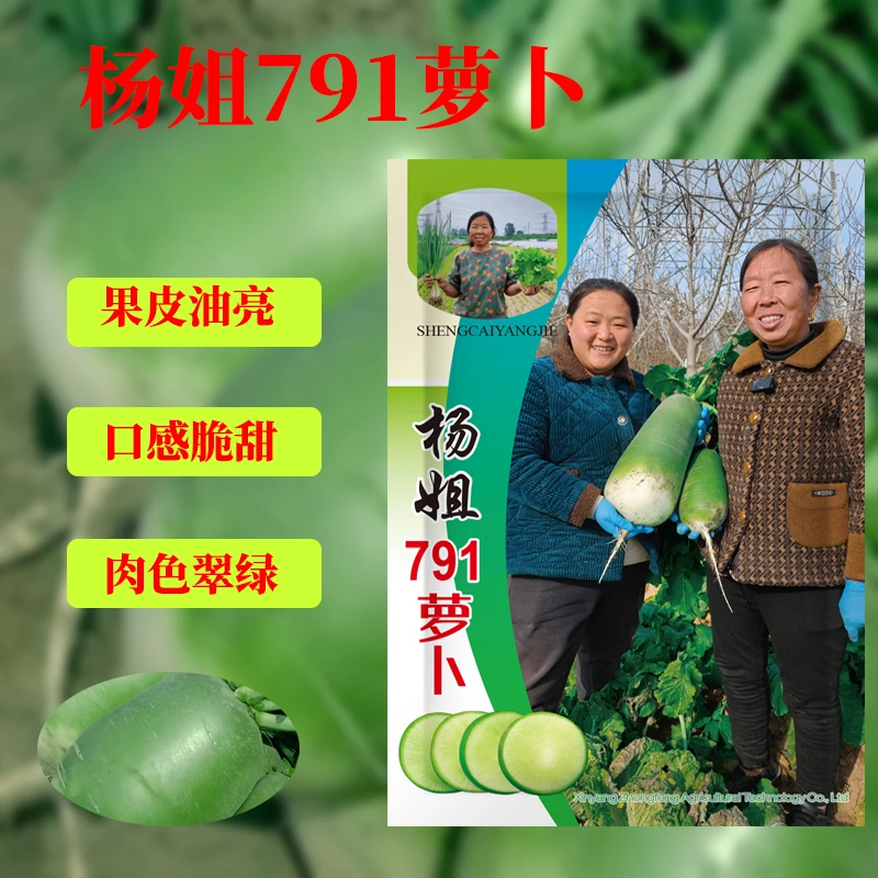 【生菜杨姐推荐】791罐萝卜种子耐热耐寒秋冬季青萝卜蔬菜种子