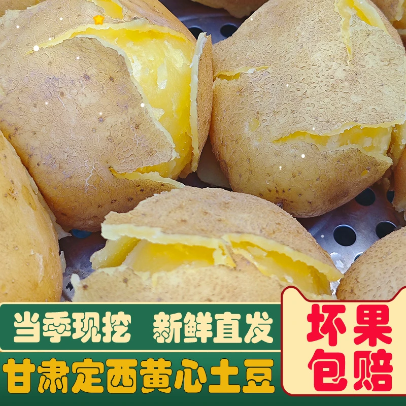 【俊林哥优品】2025年甘肃定西旱地粗麻皮黄心黄皮土豆糯沙面5斤