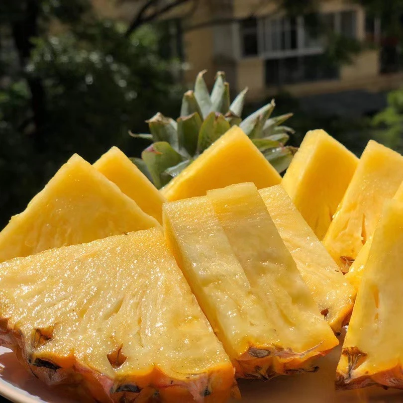 【老沙严选】当季树上熟海南芒果凤梨散装2颗4斤左右