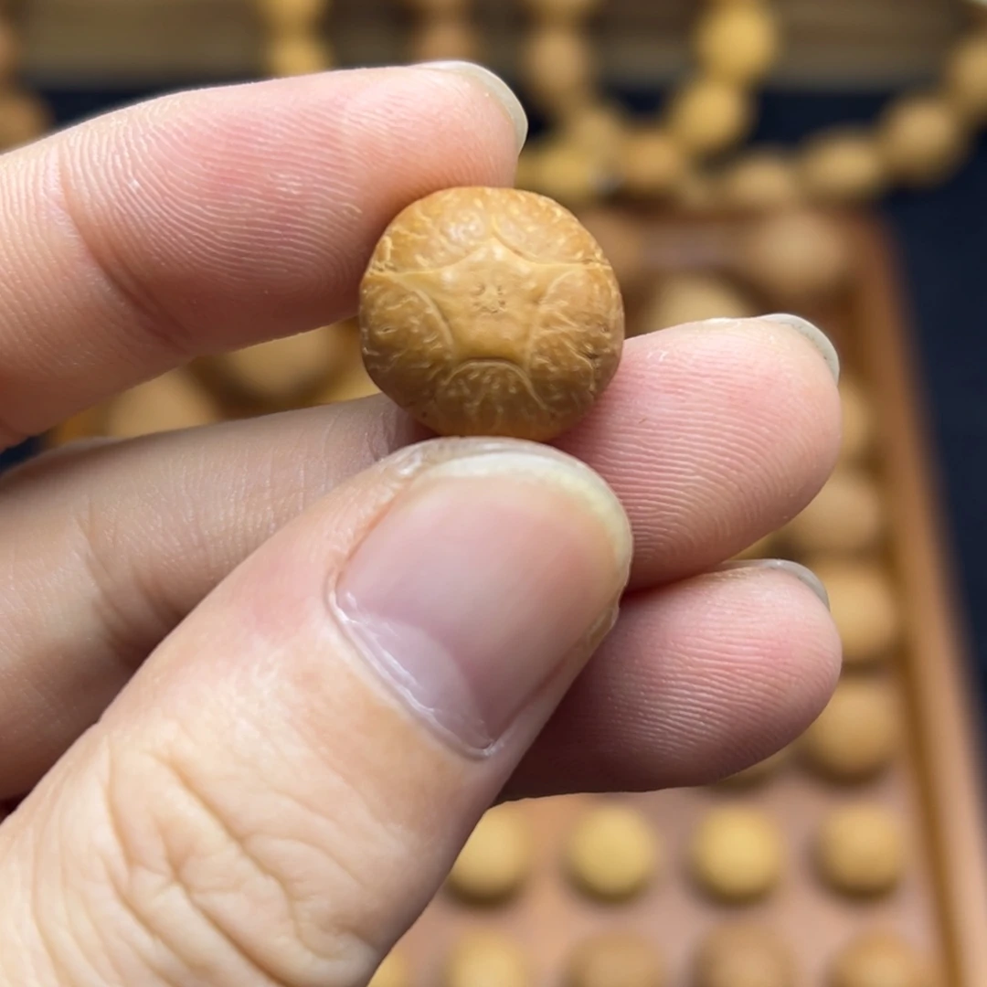 凤眼菩提手串15.5五星上将