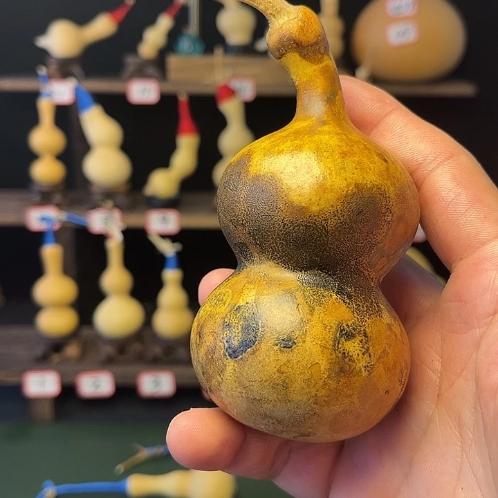 冀**飞直播间定向链接发给我