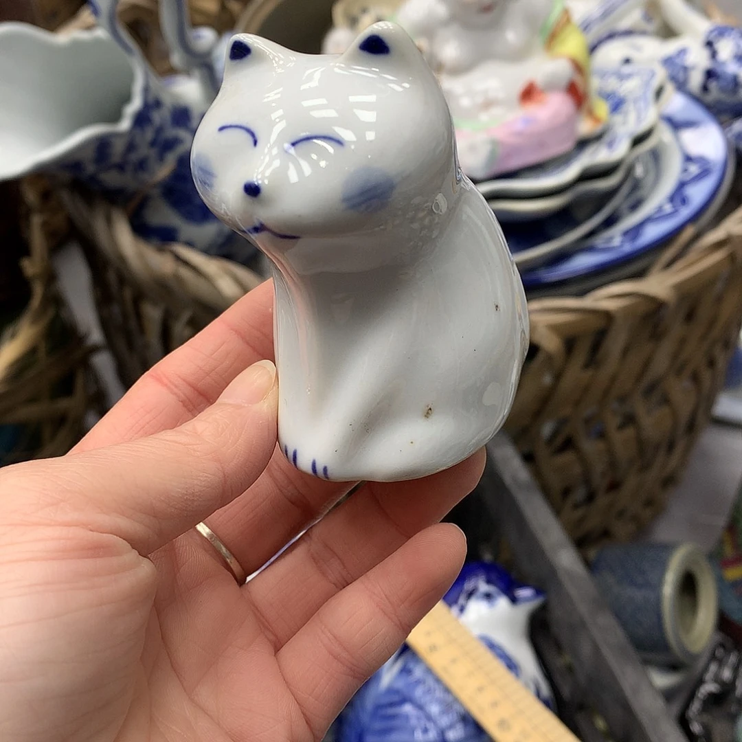 猫25655462595565552685