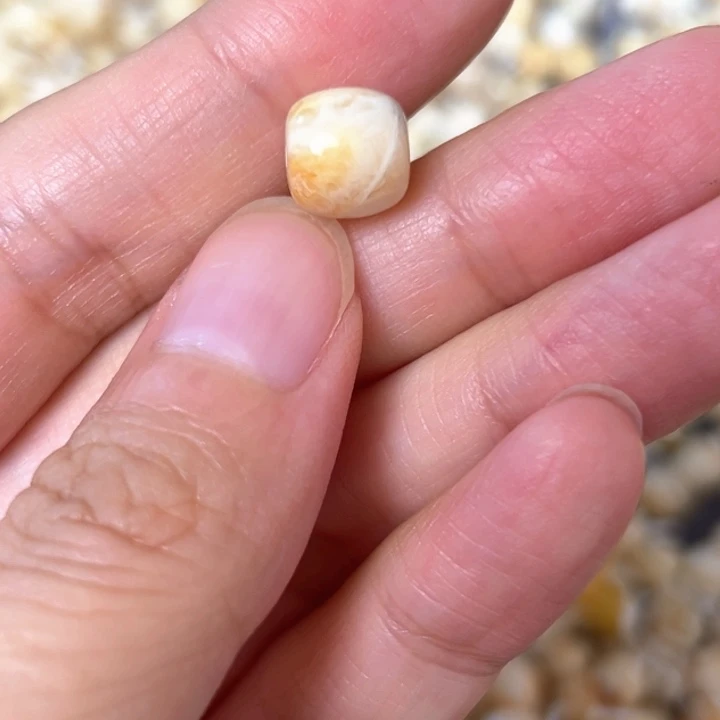 裸石蜜蜡未镶嵌9.1mm一个
