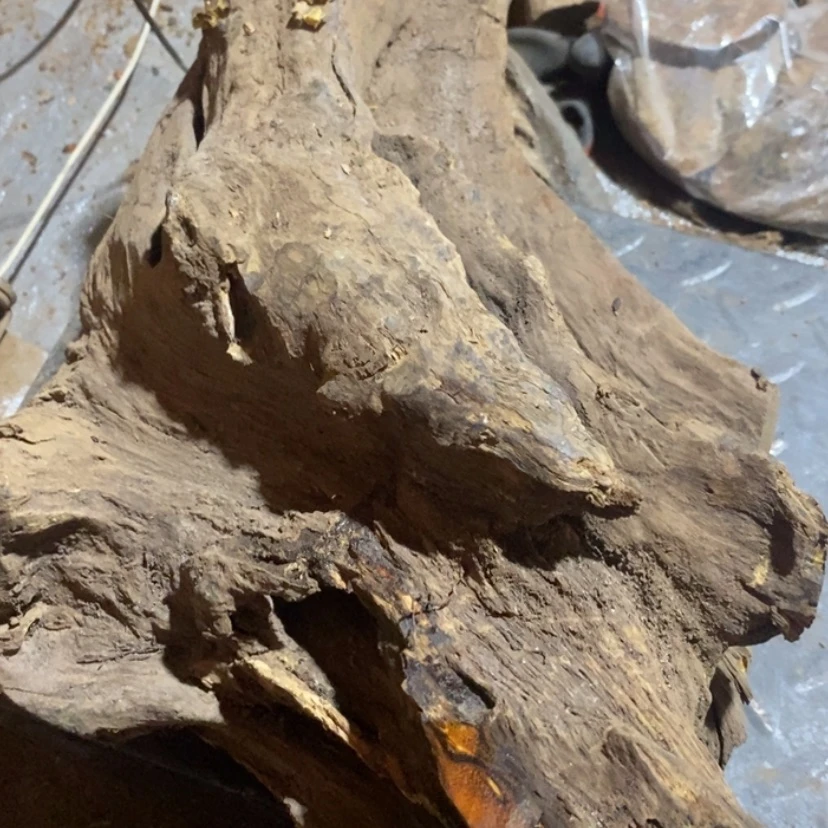 【闪购商品】把件贡木派**居私人订制