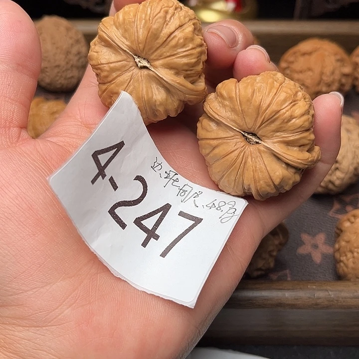 匿***名核桃41南瓜墩4247