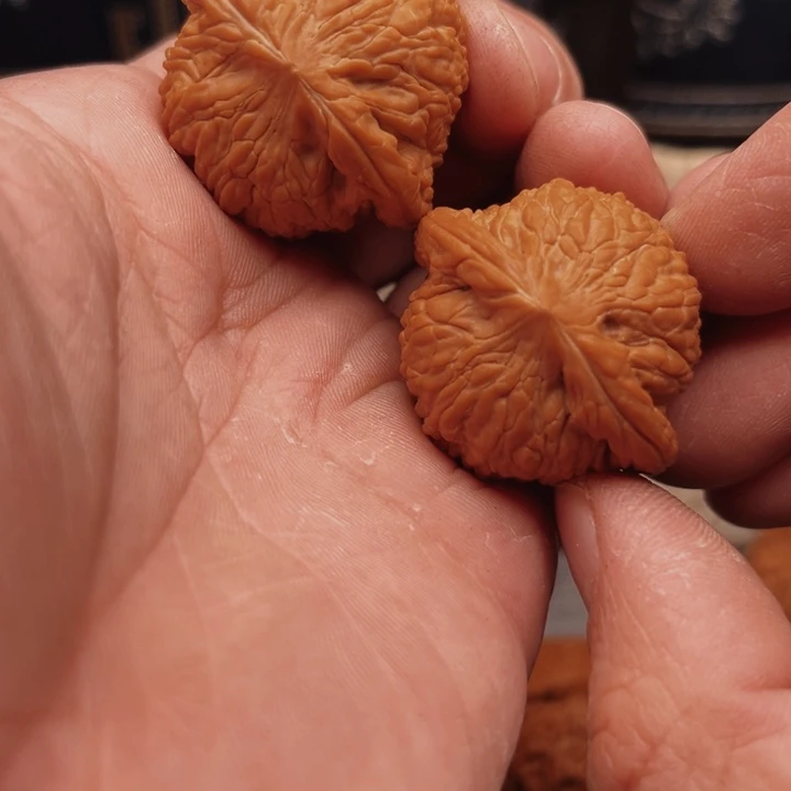 文玩核桃吊坠山****生泥鳅