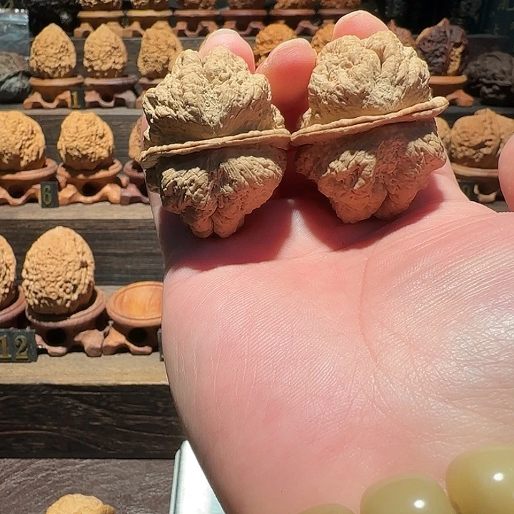 核桃临沧古蟾王45尺