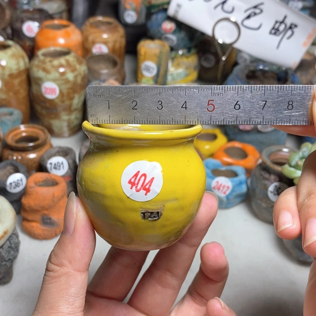 拍5送一个小礼物