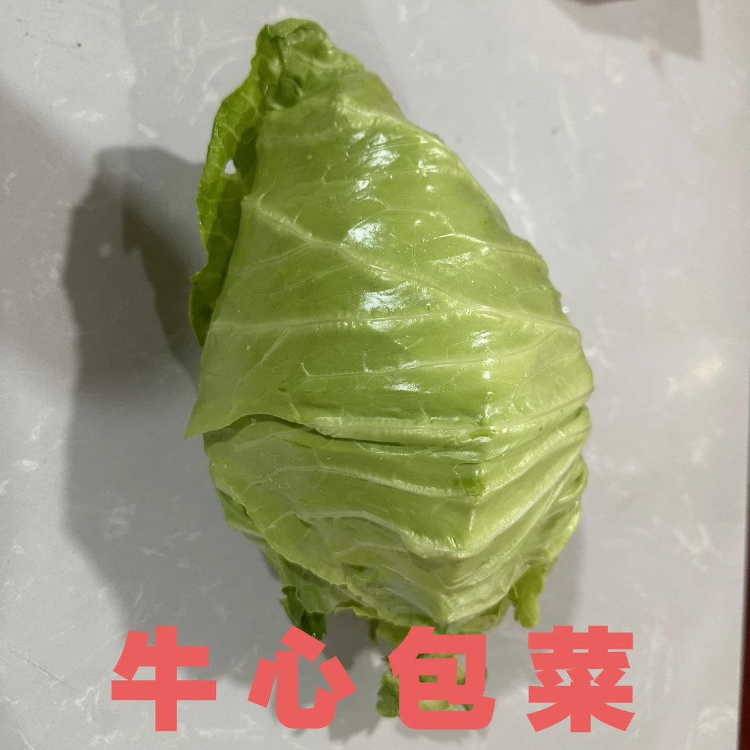 湖北天门新鲜牛心菜甘蓝莲花白菜手撕卷心菜当季蔬菜尖包菜