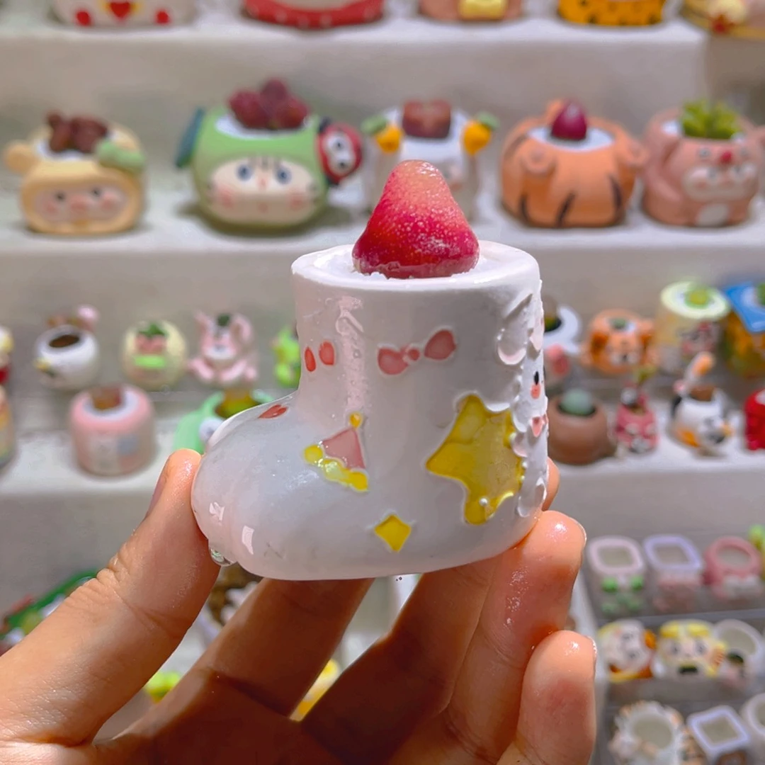 013高端多肉带盆土一套48