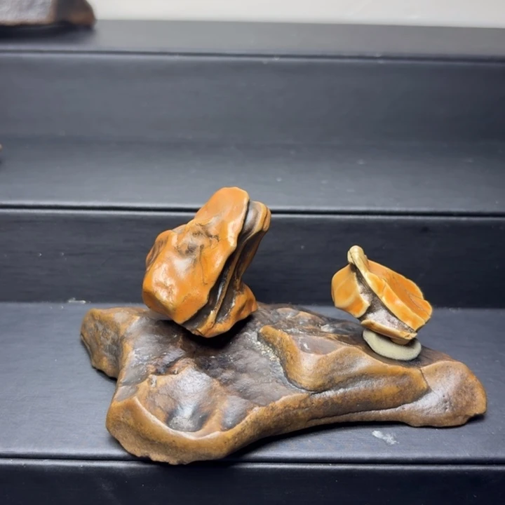 我***良石材内蒙古阿拉善原石