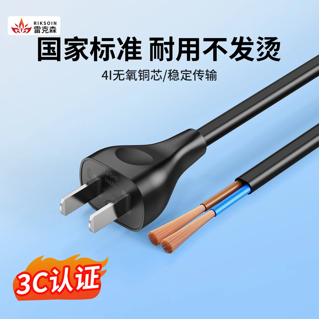 雷克森二脚插头带线国标2芯电源线无氧纯铜芯两孔单头裸尾10A250V