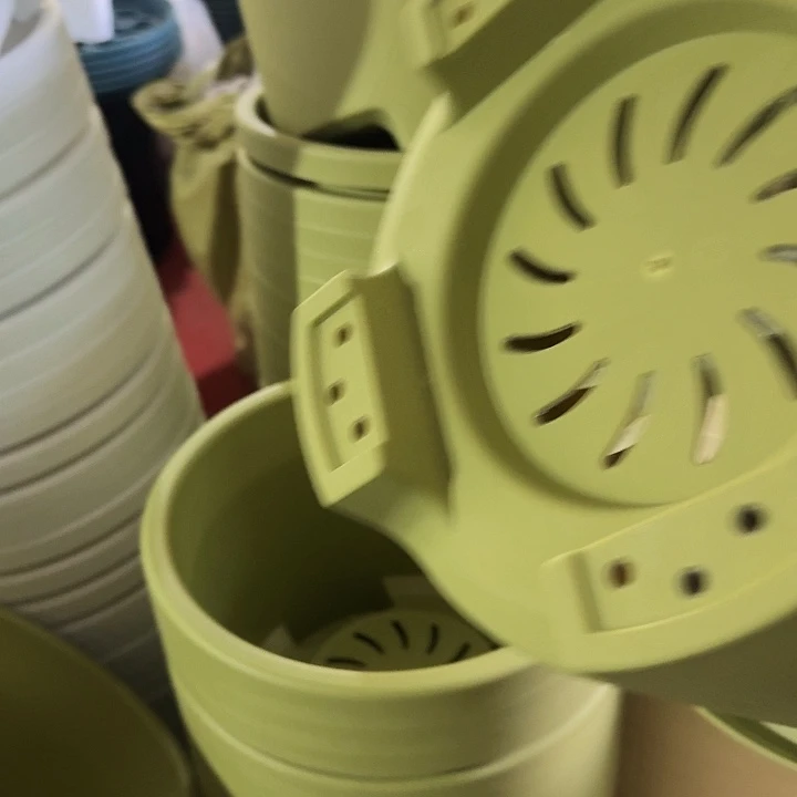 球根32口径5个无托果绿