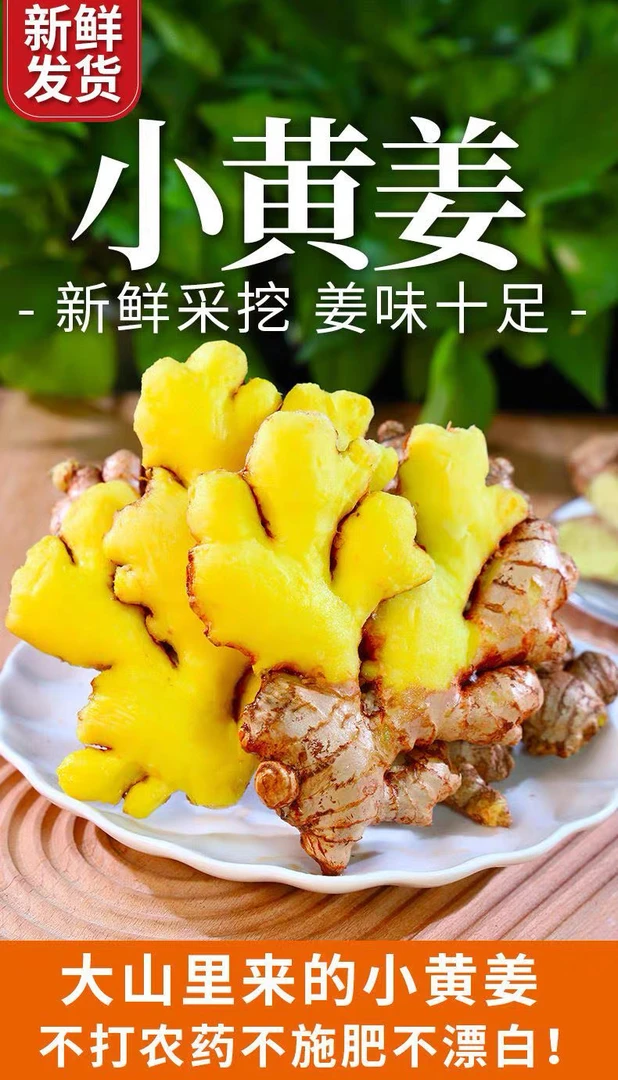 浙江仙居高山小黄姜月子姜生姜辛辣十足3斤5斤发顺丰