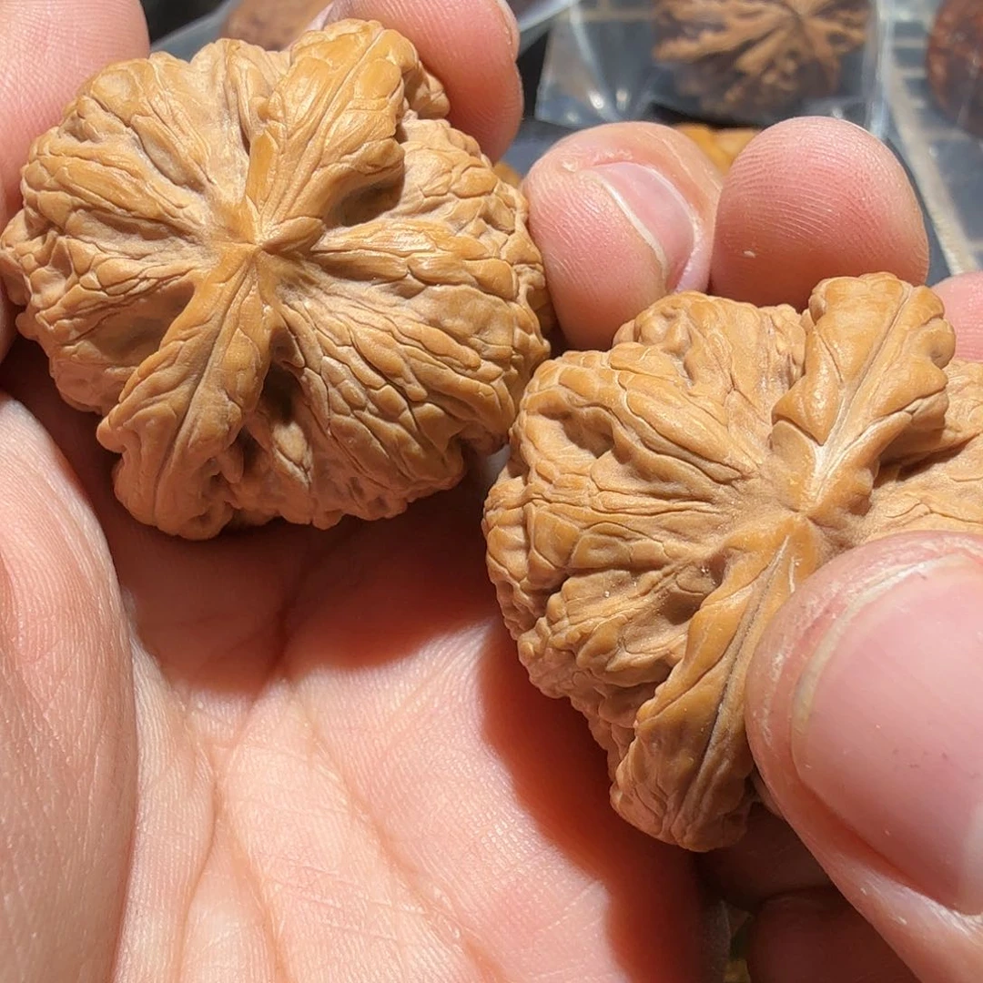 文玩核桃把件红锦鲤