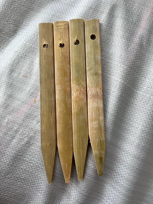 地插竹插100根20公分长