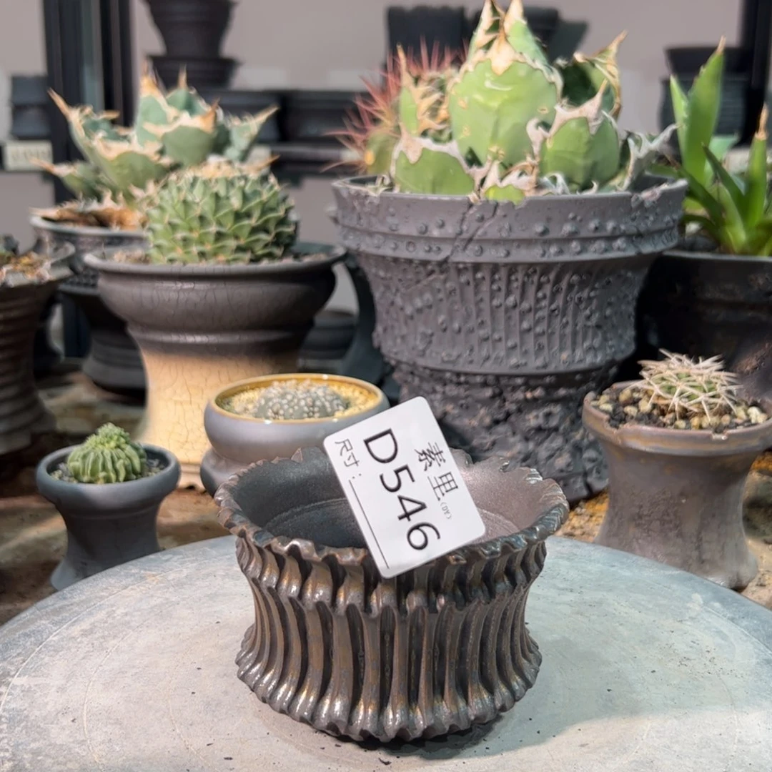 景德镇素里手工内口9.5高6.5