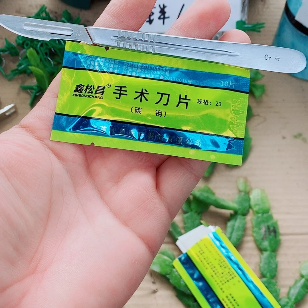 无花朵嫁接刀柄➕10片刀片福利