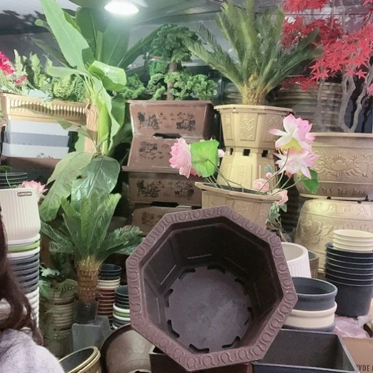 复合盆景制作方法