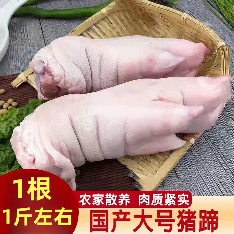 带筋纯前蹄 现杀土猪蹄整只新鲜散养农家带筋猪蹄子猪手猪蹄切块