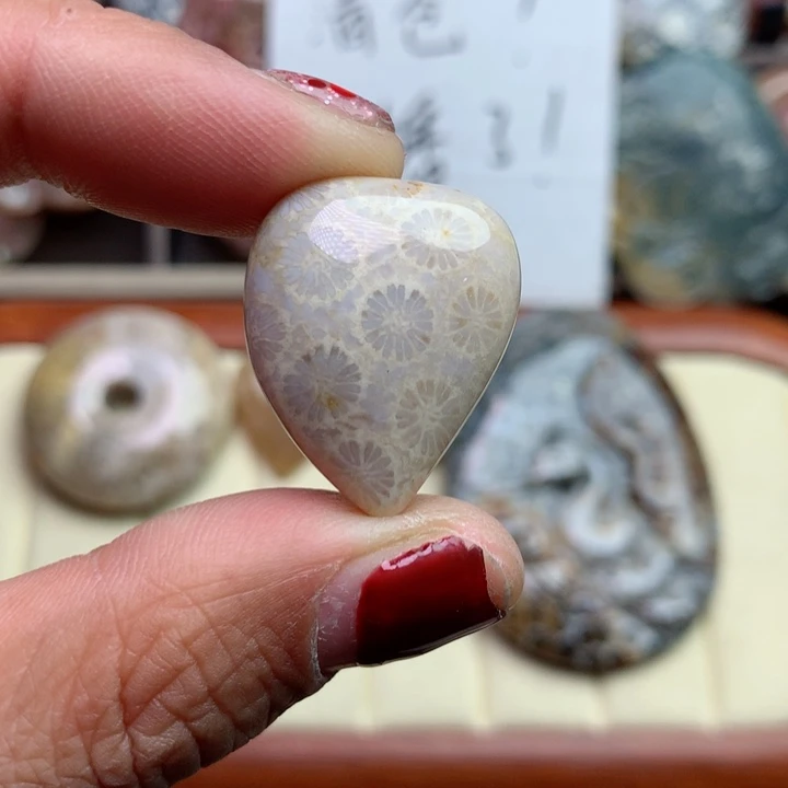 硅化珊瑚（珊瑚玉）颈饰未镶嵌