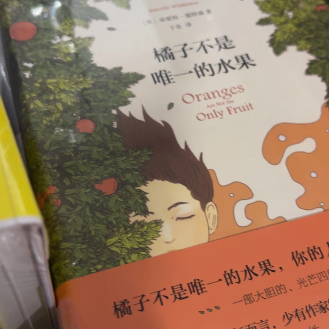 橘子不是唯一的水果