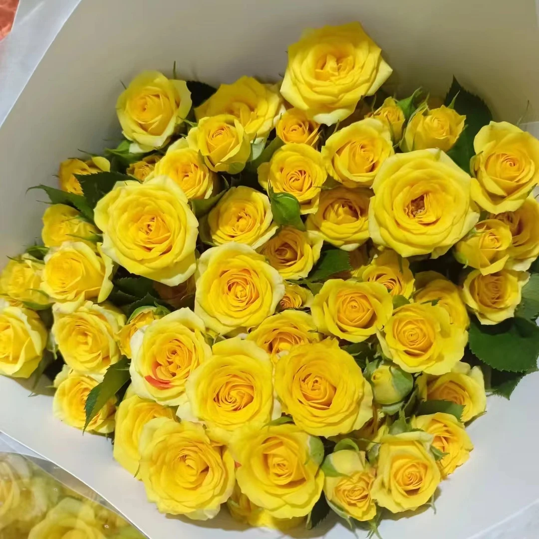 【梦幻芭比泡泡10支】云南鲜花 全店任意两件包邮送货上门