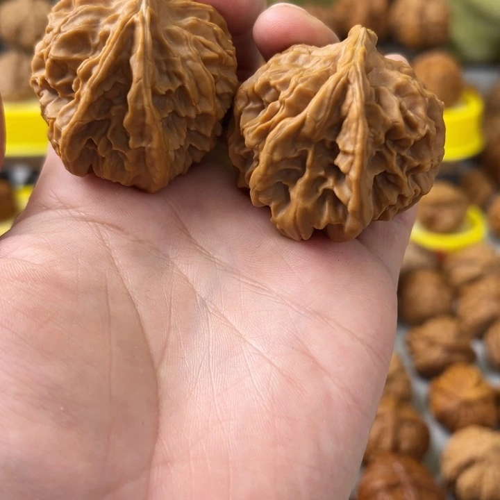 吊坠文玩核桃45尺全品无修帝王生命外号小鲍鱼