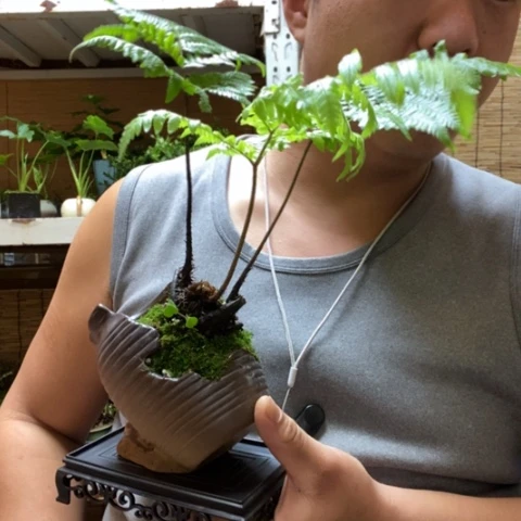 红陶一物一拍所见即所得69