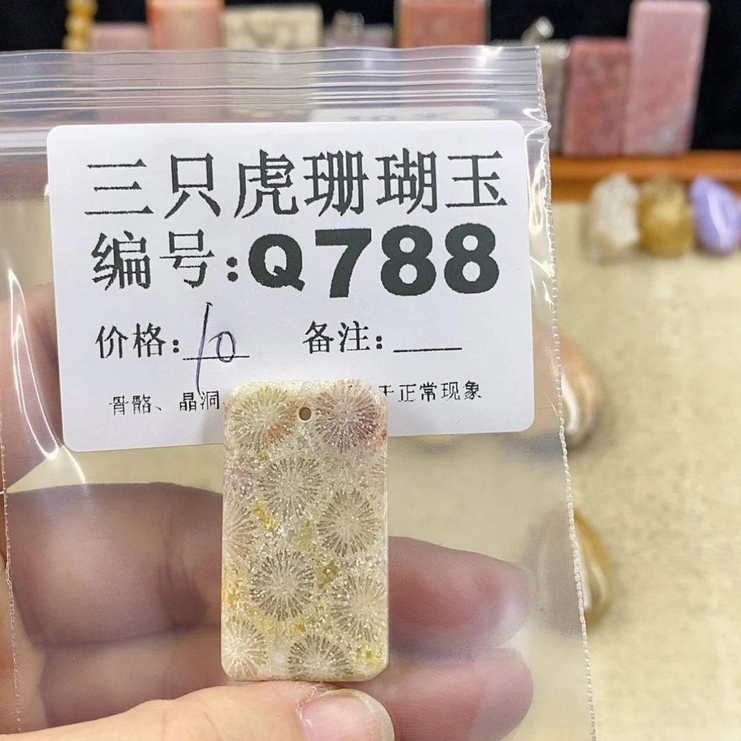 硅化珊瑚（珊瑚玉）1未镶嵌?****